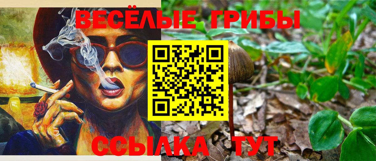 где купить наркоту  Вход с VPN  Галлюциногенные грибы Psilocybe  Лосино-Петровский  Псилоцибиновые грибы мицелий 
